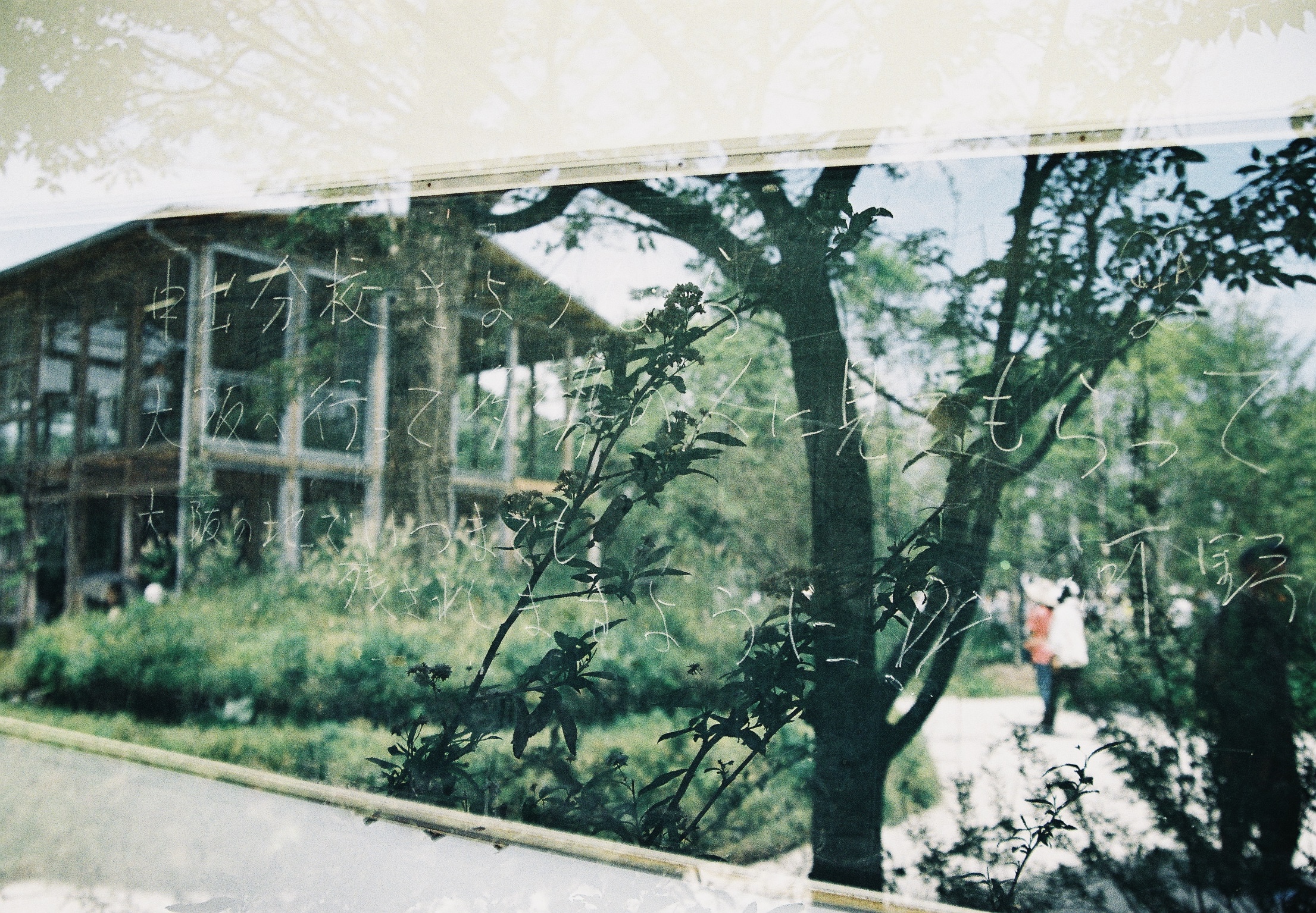 yohaku company vision